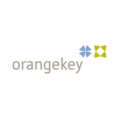 orangekey consulting GmbH
