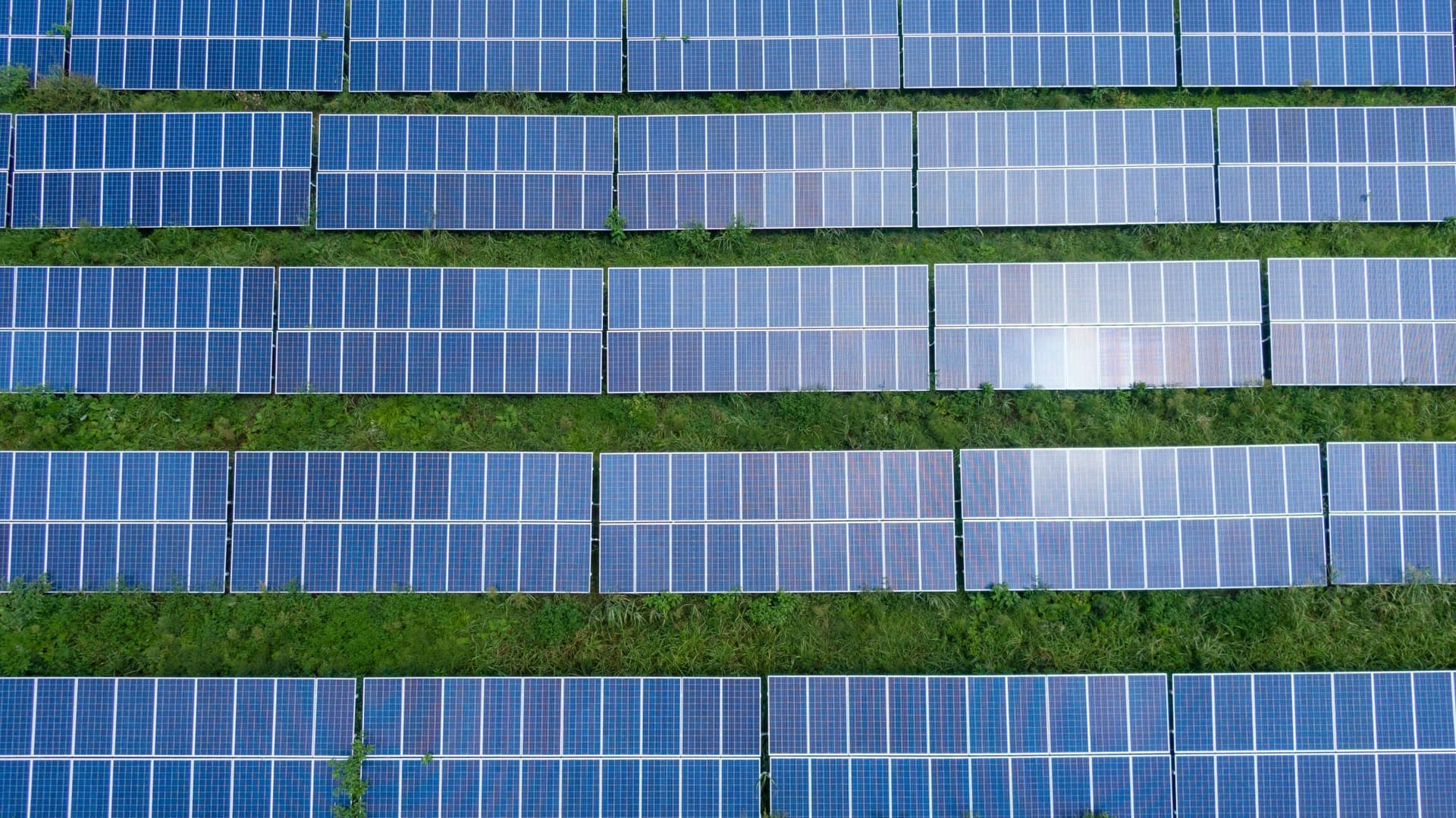 Infranity provides Blue Elephant Energy with a €200m financing to support its renewable energy growth plans