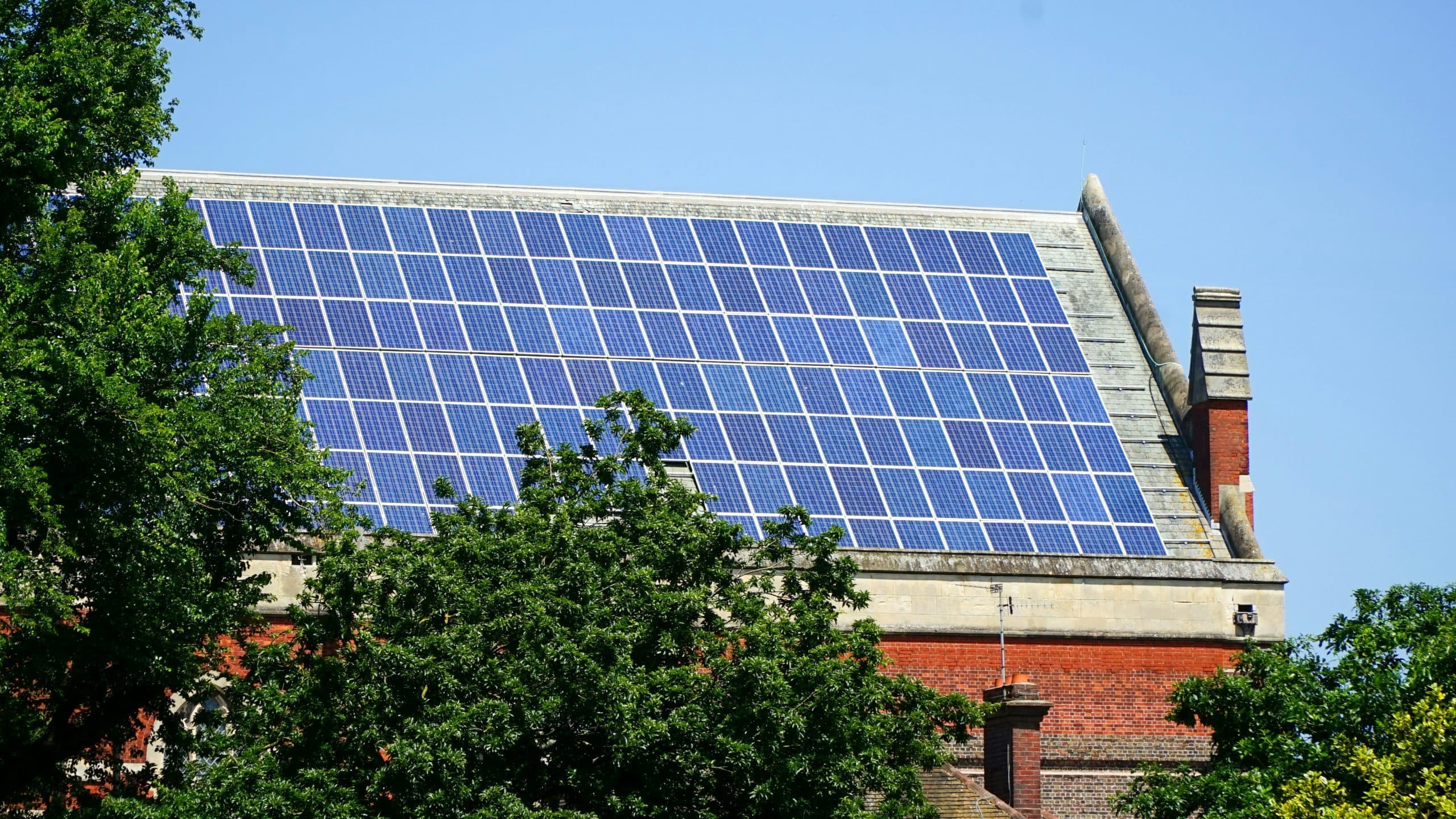 SUBSIDIZED CLEAR-CUTTING FOR ENERGY-EFFICIENT RENOVATION – A FATAL SIGNAL FOR CLIMATE PROTECTION AND THE ECONOMY