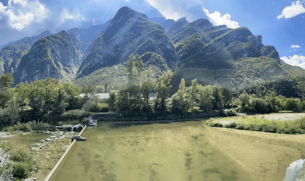 Wasserkraft. Die stille Reserve der Energiewende.