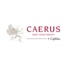 CAERUS Debt Investments AG