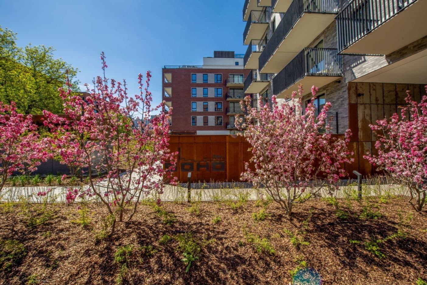Blühende Bäume vor modernen Wohngebäuden im SOHO by Yareal Quartier in Warschau