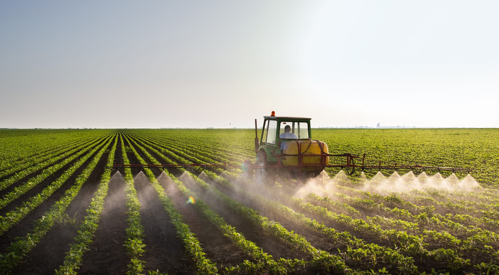Lorenz Consult realisiert neue Produktionsanlage für algenbasierte Präparate