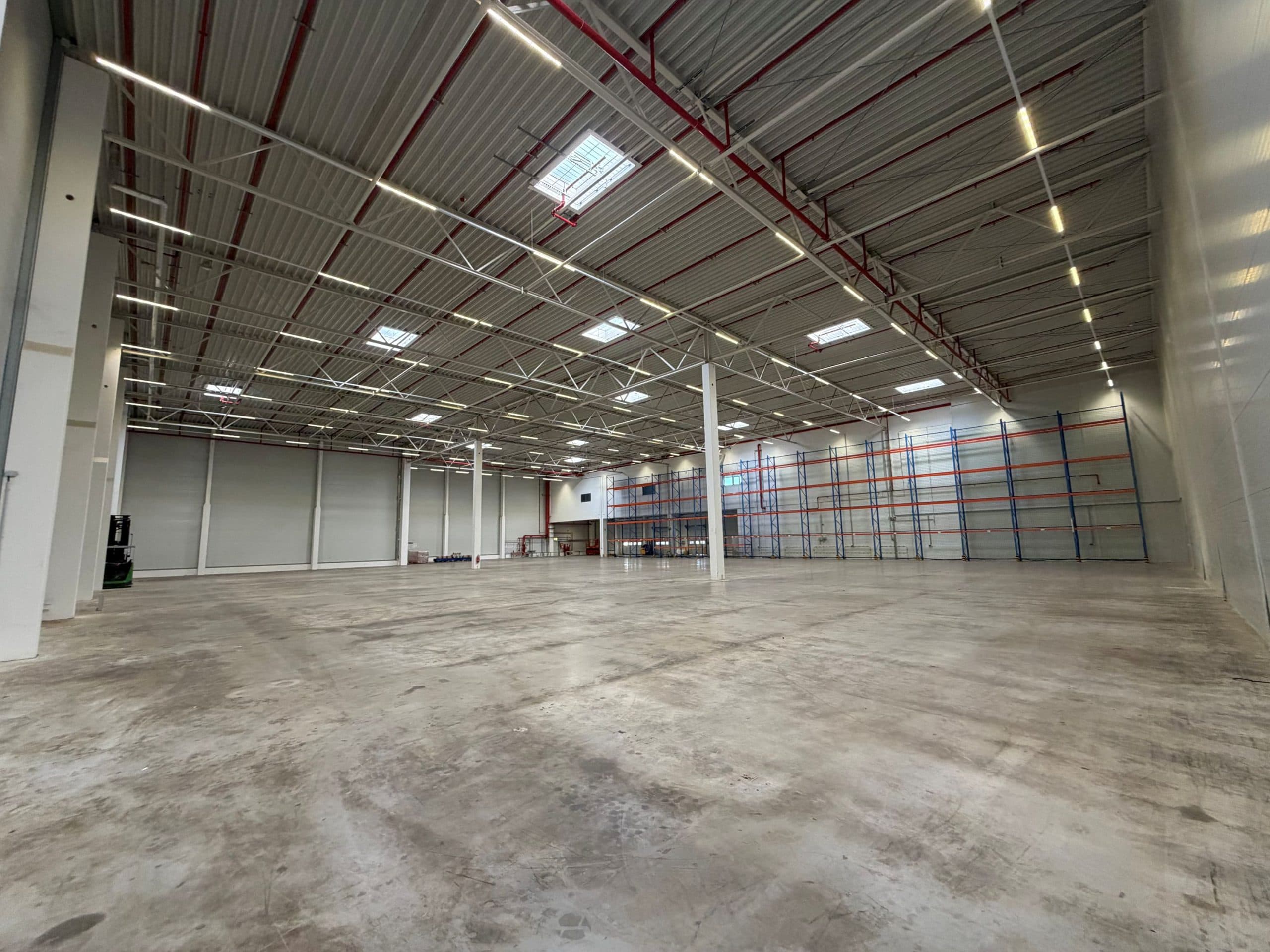 REALOGIS leases around 3,200 m² of warehouse and office space in the Rhine-Main region
