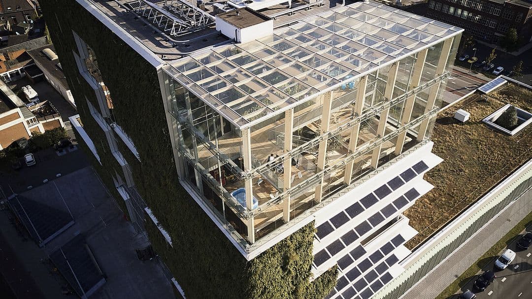 Cradle to Cradle® – Houses like trees, cities like forests