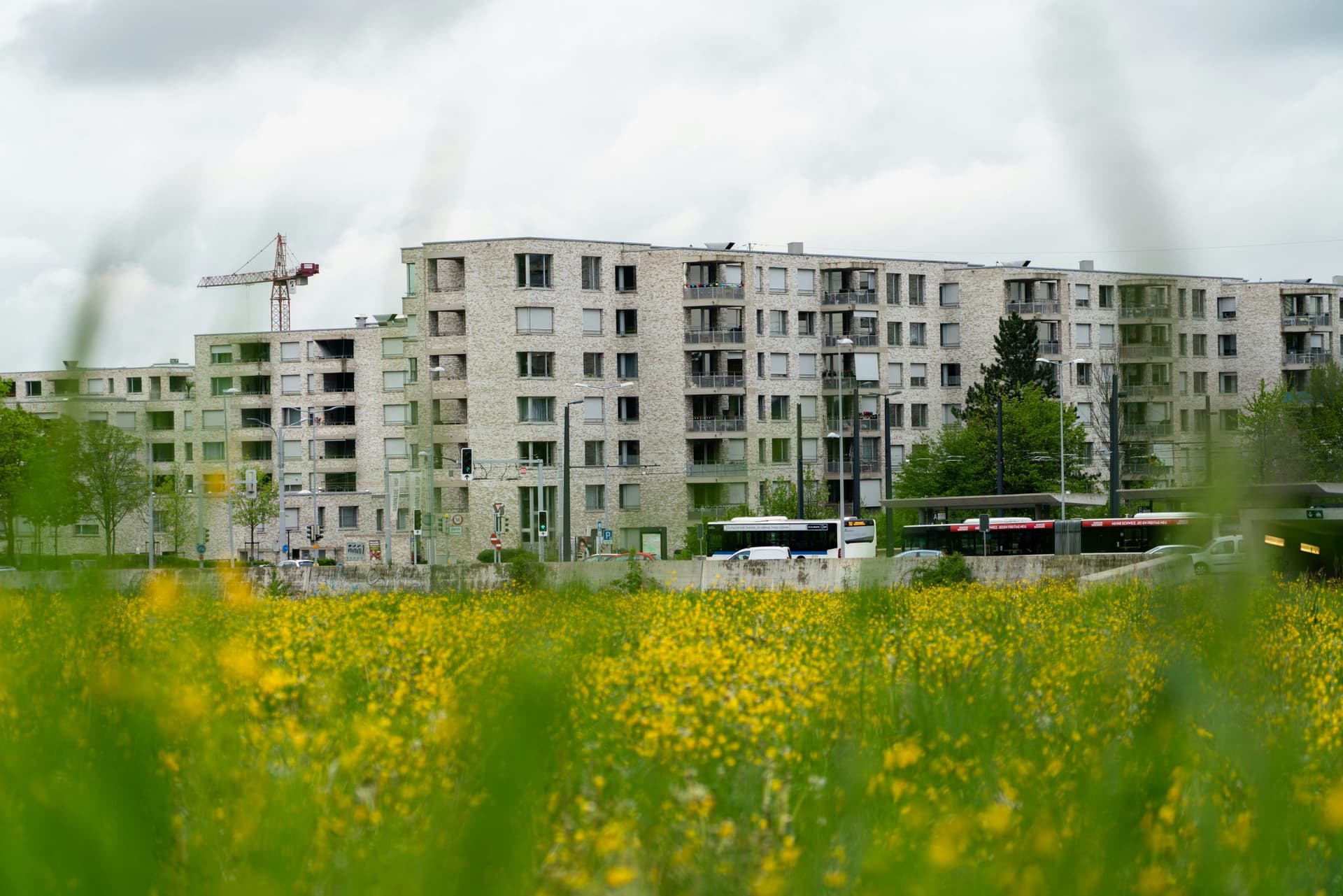 EU-Taxonomie: Ambition bewahren, Anwendung in der Immobilienwirtschaft erleichtern