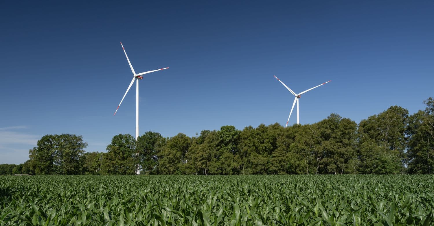 wpd sichert sich 156,9 MW in stark überzeichneter BNetzA-Ausschreibung